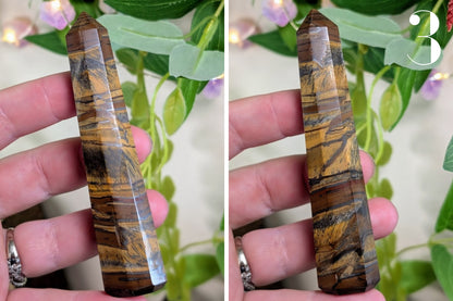 Tiger Eye Point