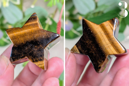 Tiger Eye Star