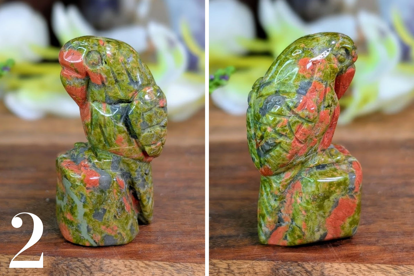 Unakite Parrot