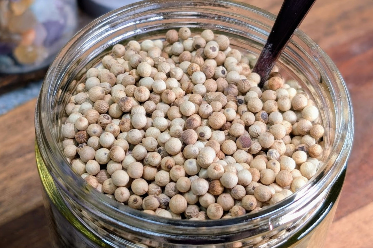 White Peppercorns - 0.5 oz Bag