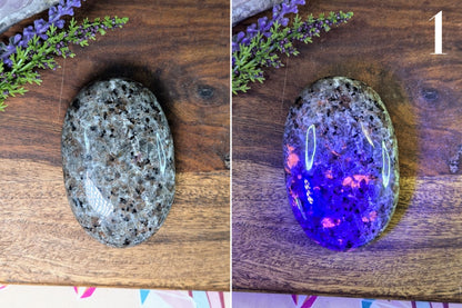 Yooperlite Palm Stone