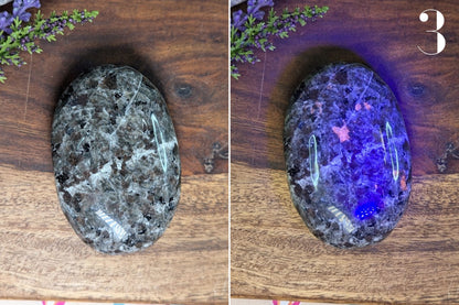 Yooperlite Palm Stone
