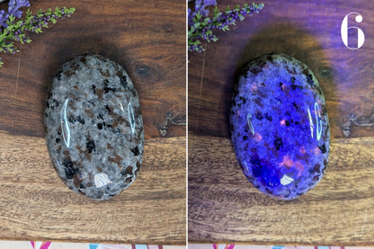 Yooperlite Palm Stone