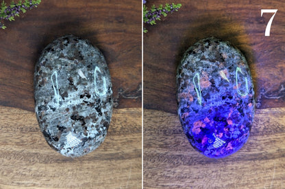 Yooperlite Palm Stone