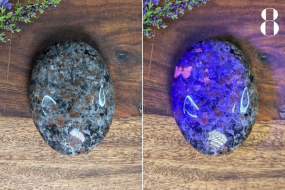 Yooperlite Palm Stone
