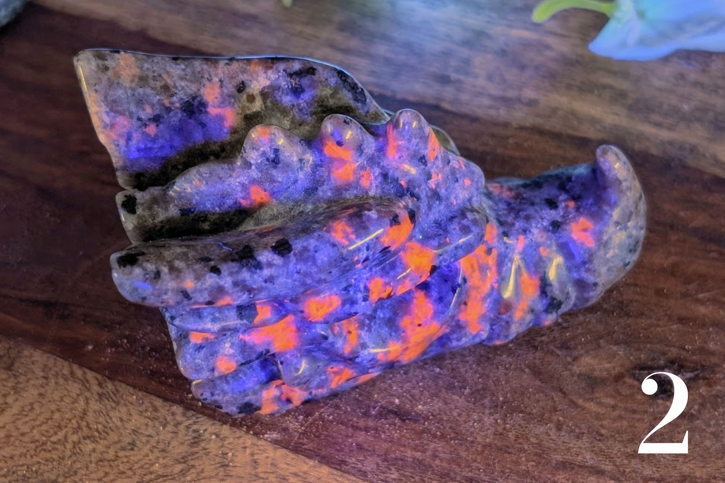 Yooperlite Dragon Head 3"