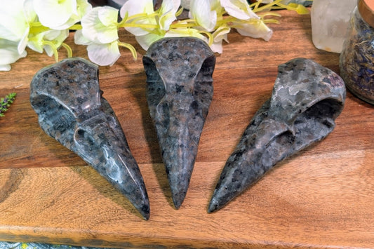 Yooperlite Raven Skull
