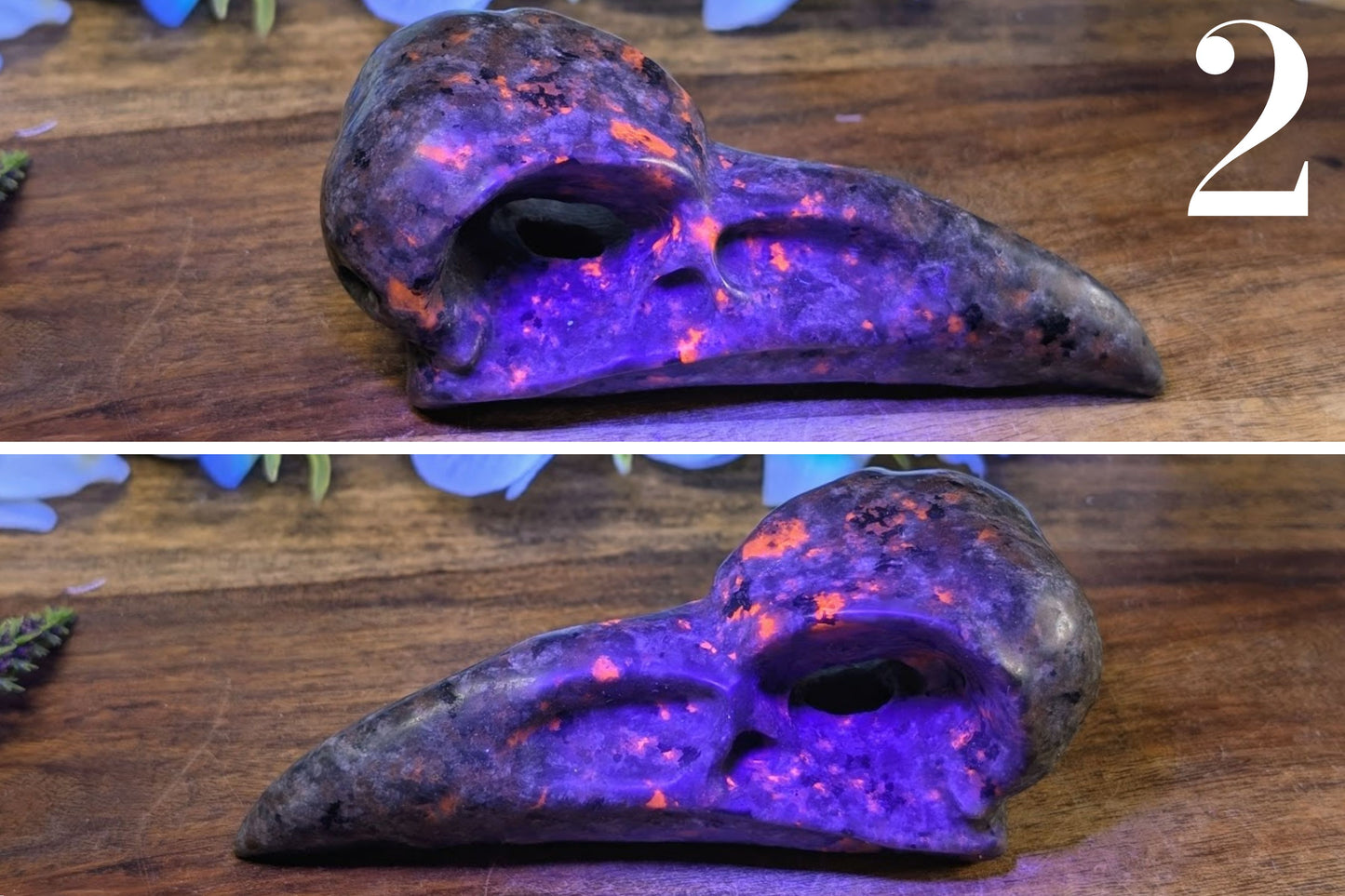 Yooperlite Raven Skull