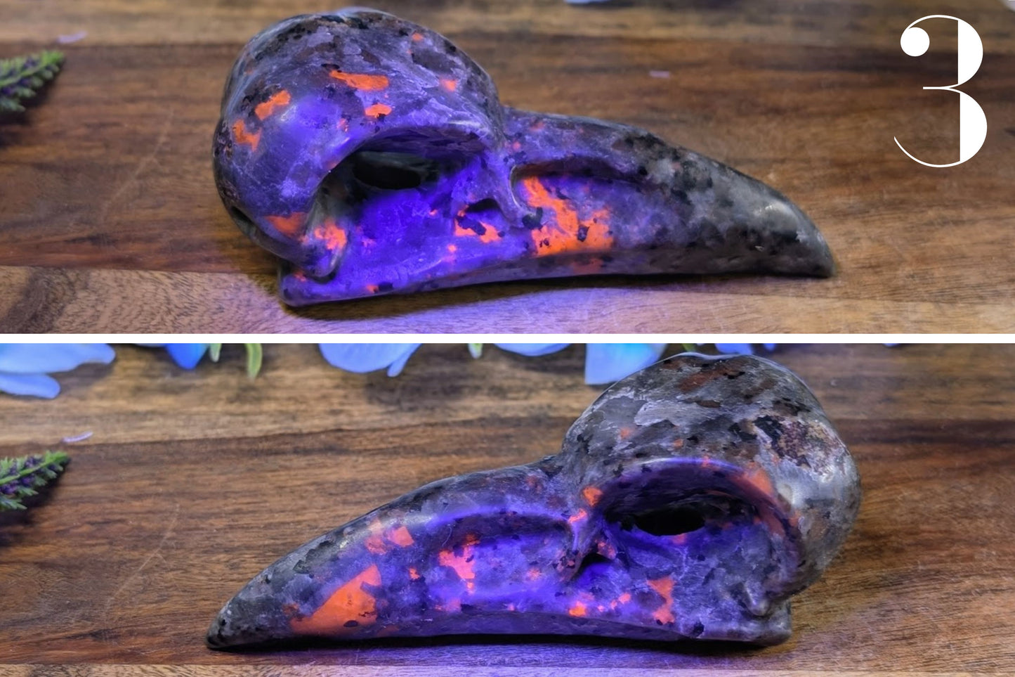 Yooperlite Raven Skull