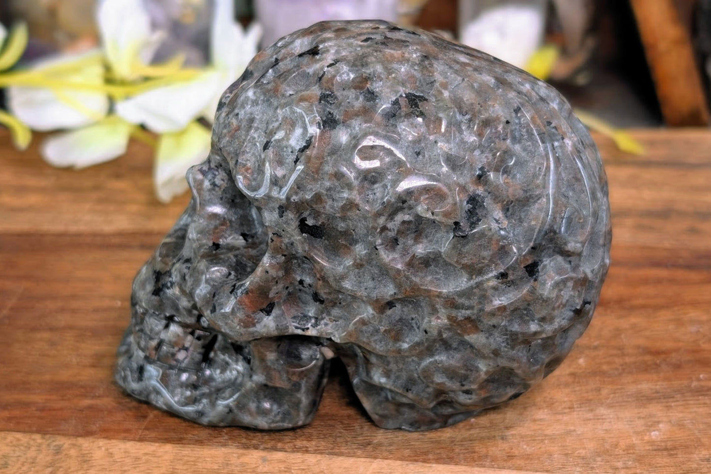 Yooperlite Skull with Embellishment