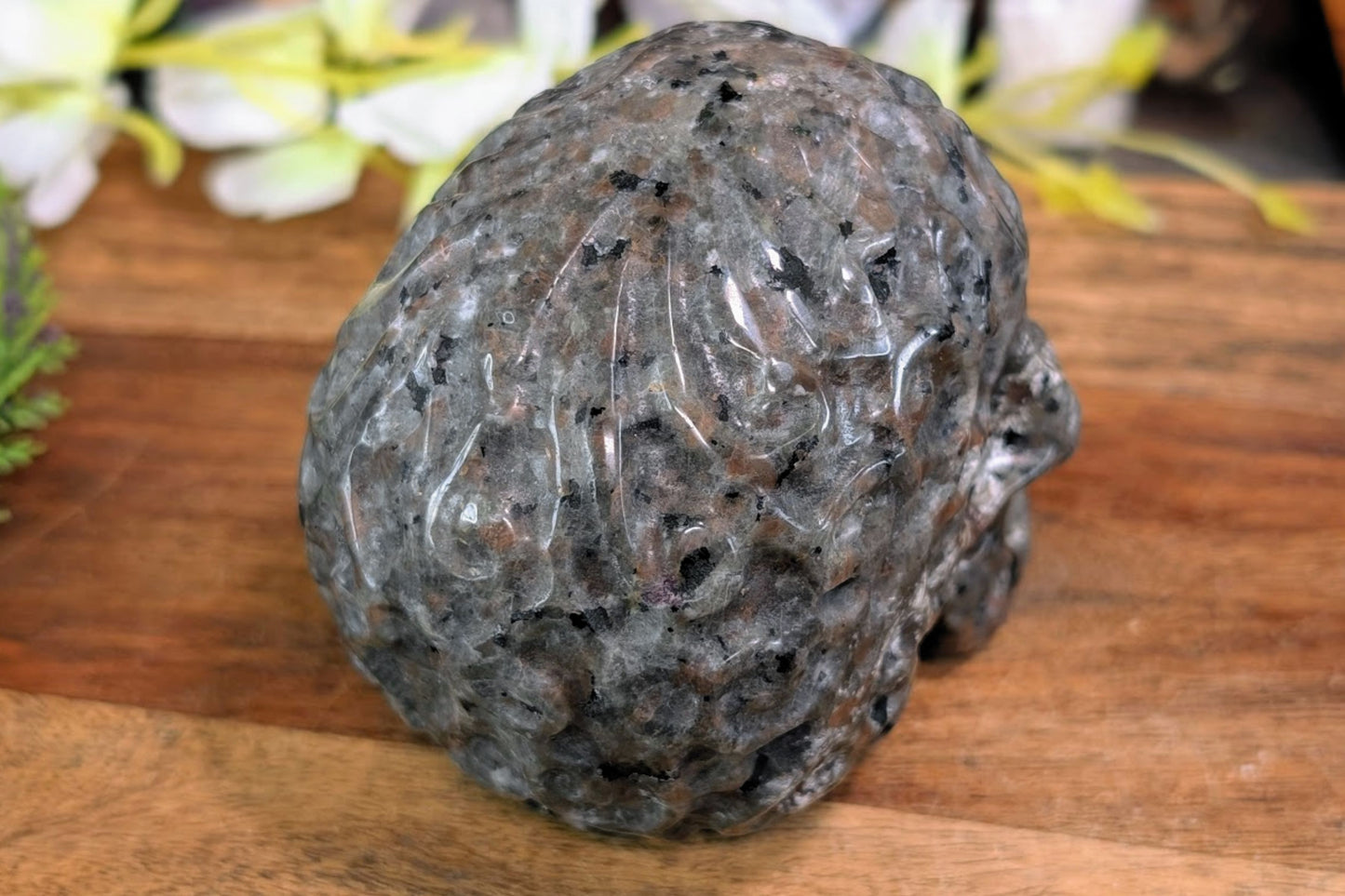 Yooperlite Skull with Embellishment