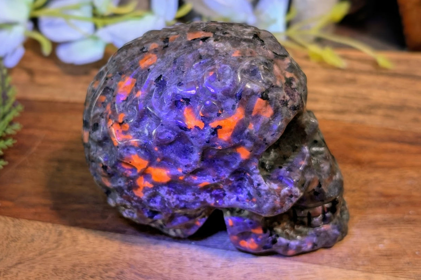 Yooperlite Skull with Embellishment
