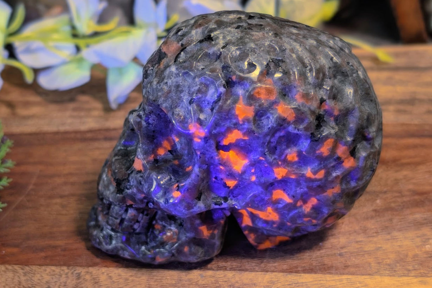 Yooperlite Skull with Embellishment