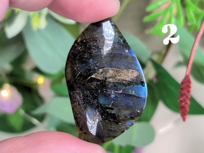 Labradorite Cabochon