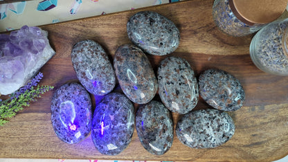 Yooperlite Palm Stone