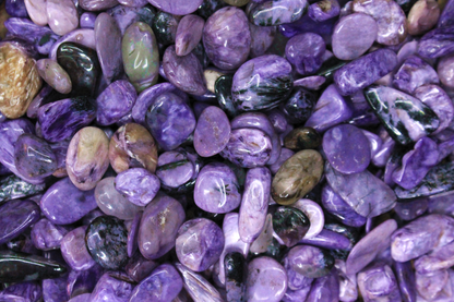 Charoite Chips - 1 oz Bag