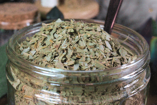 Eucalyptus Leaf - 0.5 oz Bag