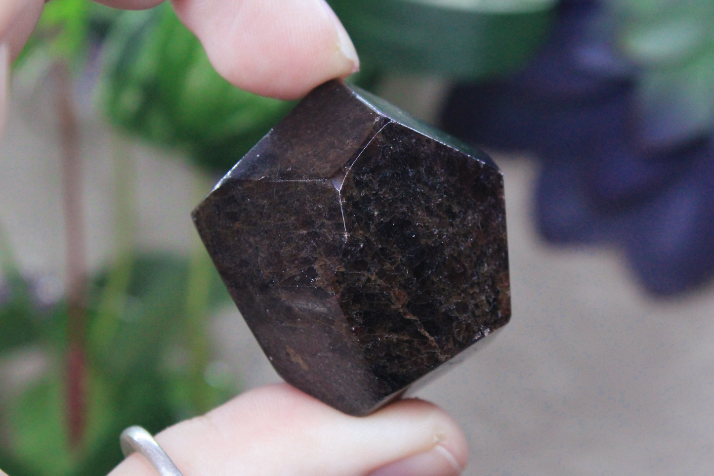 Garnet Polished Polyhedron