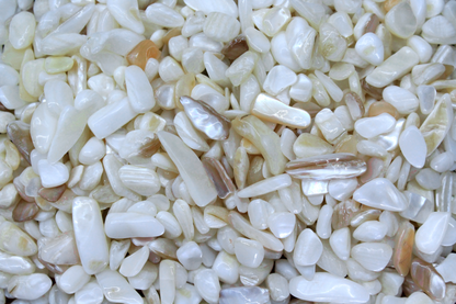 Mother of Pearl Chips - 2 oz Bag