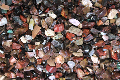 Petrified Wood Chips - 2 oz Bag