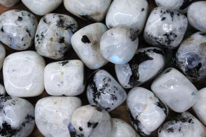 Rainbow Moonstone Tumbled - Set of 5