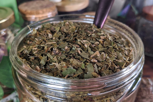 Witch Hazel - 0.5 oz Bag